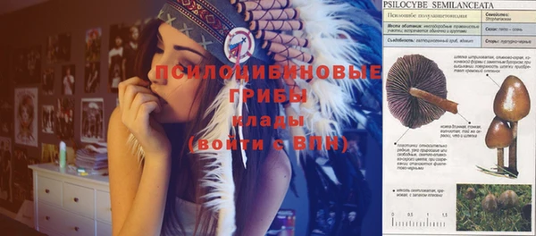 гидра Баксан