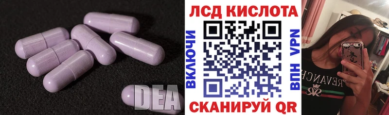blacksprut как зайти Галич Лсд 25 экстази ecstasy