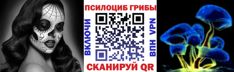 Псилоцибиновые грибы Cubensis  Галич 
